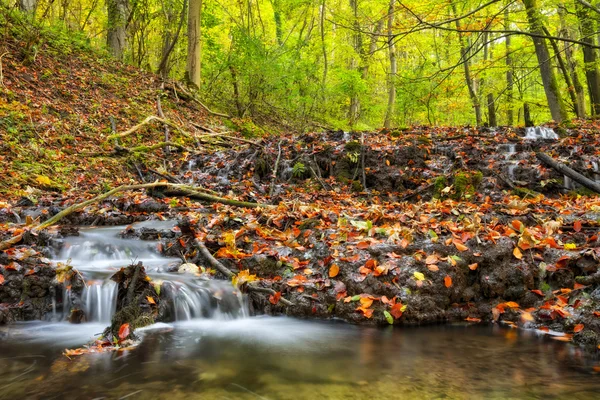 Idylliska hösten Forrest — Stockfoto