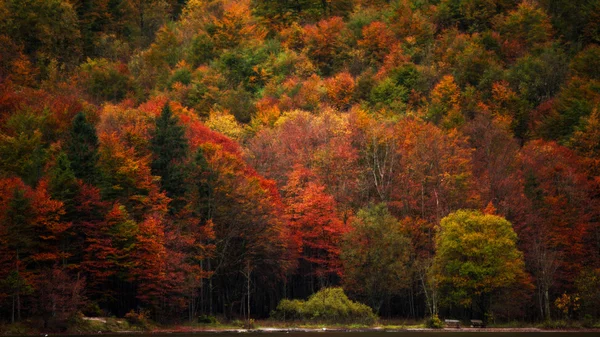 Bellissimo autunno al Mare dei Re — Foto Stock