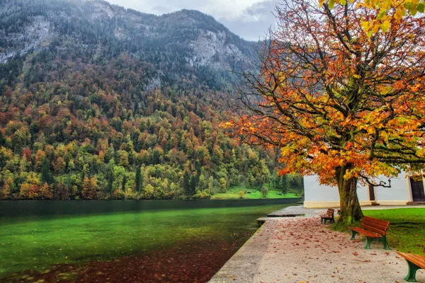 Schöner Herbst am Meer der Könige — Stockfoto