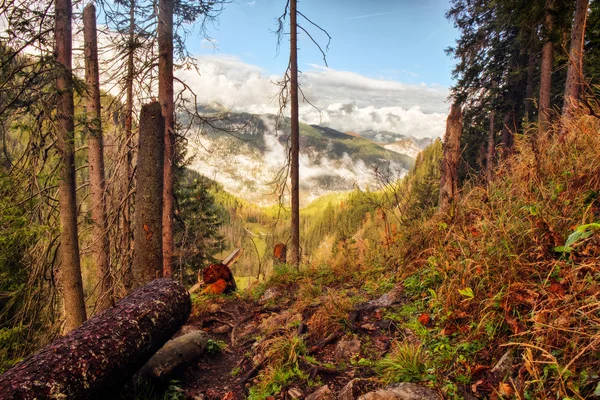 Lovely Autumn at the Sea of Kings — Stock Photo, Image