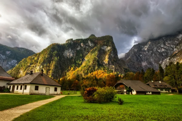 Berg grasland op de zee der koningen in Berchtesgaden — Stockfoto