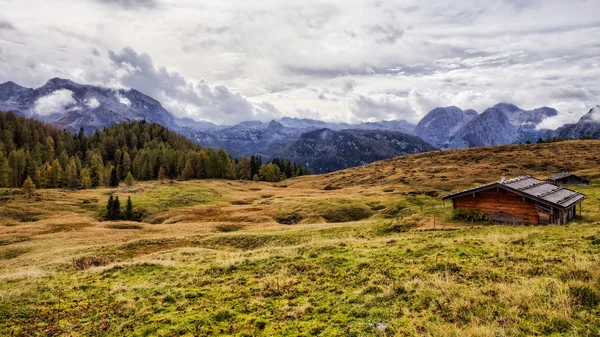 Pastagem de montanha no mar de reis em Berchtesgaden — Fotografia de Stock