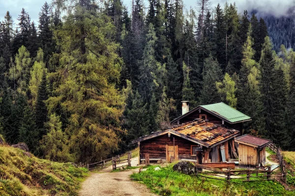 Горное пастбище у моря царей в Берхтесгадене — стоковое фото