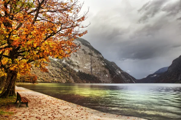 Lovely Autumn at the Sea of Kings — Stock Photo, Image