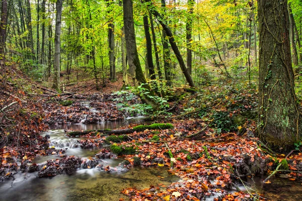 Schöner Herbst — Stockfoto