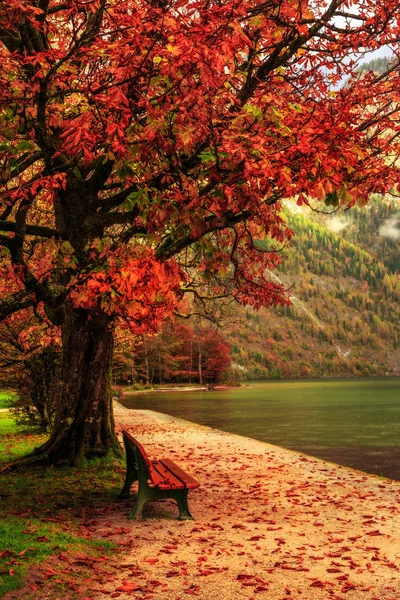 Encantador otoño en el mar de los reyes — Foto de Stock