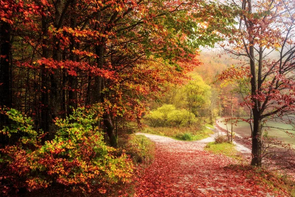 Encantador otoño en el mar de los reyes — Foto de Stock