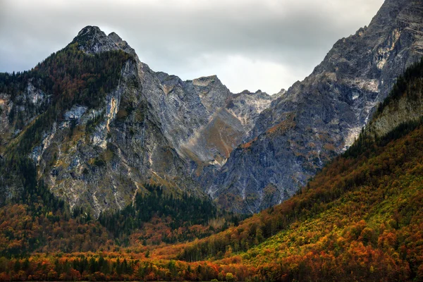 Belle Automne à la Mer des Rois — Photo