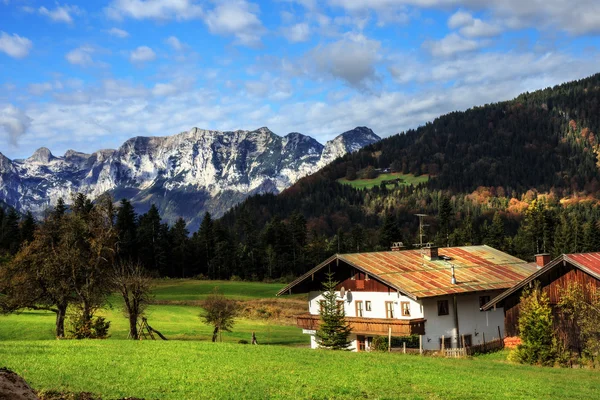 Mountain Pasture at the sea of Kings in Berchtesgaden — Stock Photo, Image
