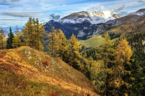 Bellissimo autunno al Mare dei Re — Foto Stock