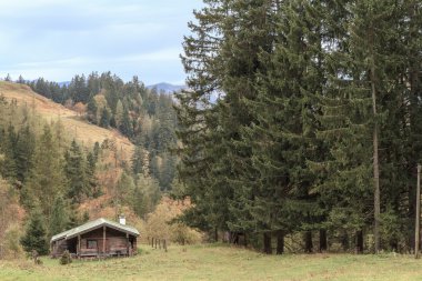 Berchtesgaden Dağı mera