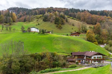 Berchtesgaden Dağı mera