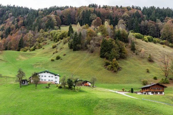 Berchtesgaden pastos de montaña — Foto de Stock