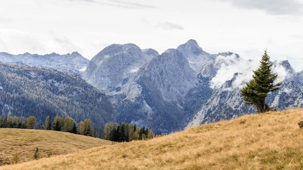 Berchtesgaden Mountains — Stock Photo, Image