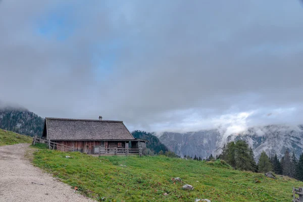 Berchtesgaden Dağı mera — Stok fotoğraf