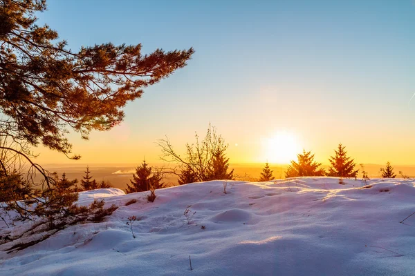 Vintersolnedgång — Stockfoto