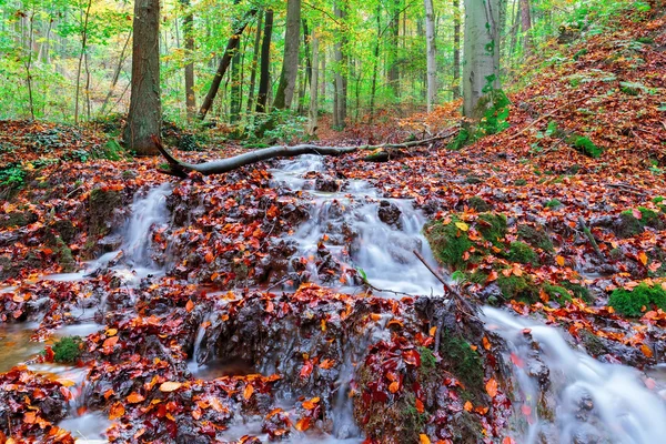 Idyllischer Herbstwald — Stockfoto