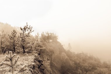 Sisli sonbahar manzarası