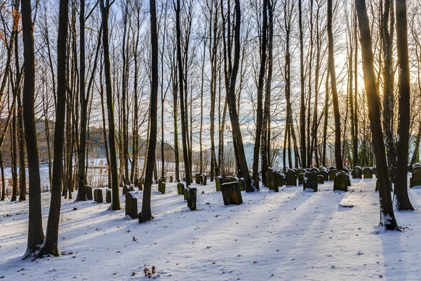 Bavyera Yahudi orman mezarlık — Stok fotoğraf