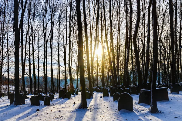 Cimitero della foresta ebraica bavarese — Foto Stock