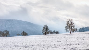 Kış Harikalar Diyarı