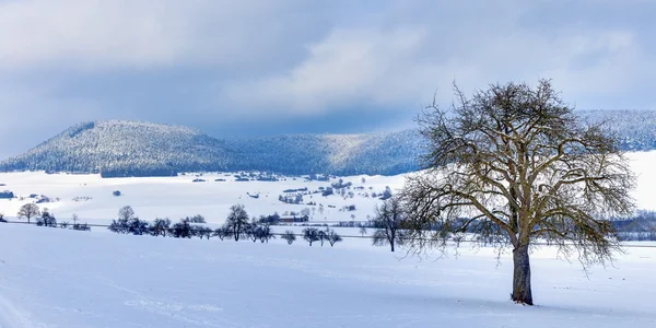 Paese delle meraviglie invernali — Foto Stock