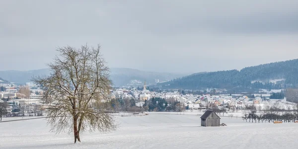 País das maravilhas do inverno — Fotografia de Stock