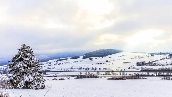 Paese delle meraviglie invernali — Foto Stock