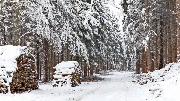 Vinterlandskap — Stockfoto