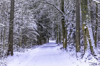 Kış Harikalar Diyarı