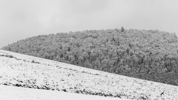 Paese delle meraviglie invernali — Foto Stock