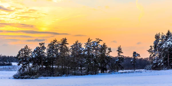 Vinterlandskap — Stockfoto