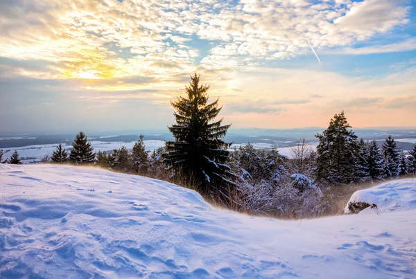 País das maravilhas do inverno — Fotografia de Stock