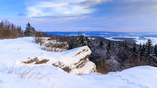 Winterwunderland — Stockfoto