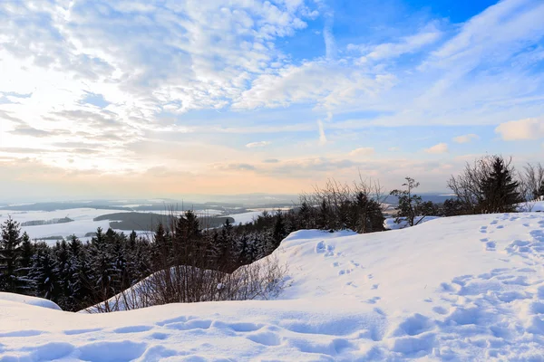 Winterwunderland — Stockfoto