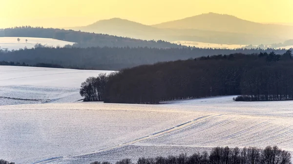 Зимняя страна чудес — стоковое фото