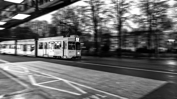 Baseler Straßenbahn — Stockfoto