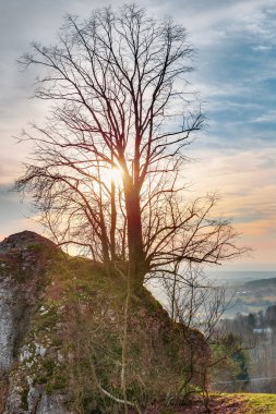 Bavyera erken Bahar manzara