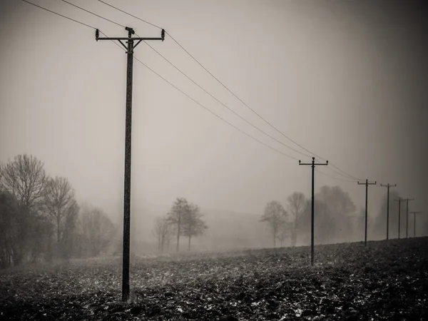 Storm Niklas — Stock Photo, Image