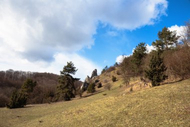 erken ilkbaharda peyzaj