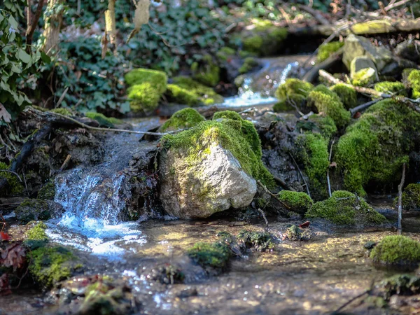 Primavera in Franconia — Foto Stock