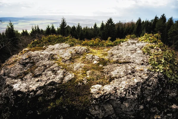 Ранні Spring-Хілл пейзаж у франконському Швейцарська — стокове фото