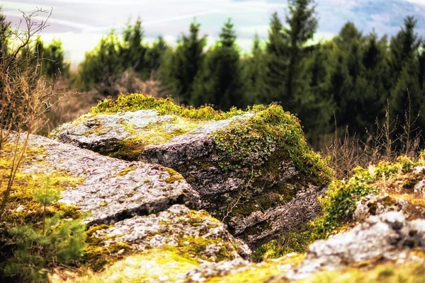 Frühlingshafte Hügellandschaft in der Fränkischen Schweiz — Stockfoto