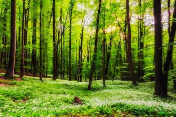 Forêt de printemps — Photo