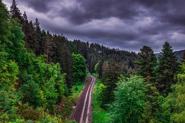 Frühling im Schwarzwald — Stockfoto