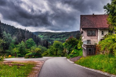 Kara Orman 'da ilkbahar