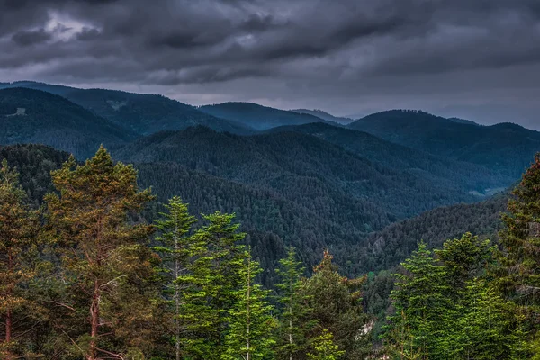 Spring in the Black Forest — Stock Photo, Image