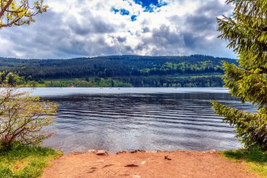 Göl titisee Almanya