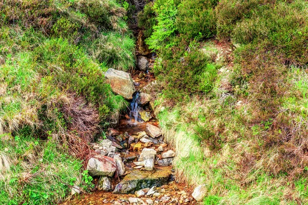 Montanha de feldberg na primavera — Fotografia de Stock