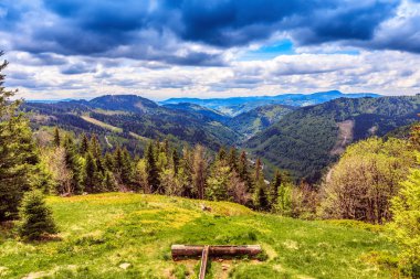 Feldberg dağ bahar